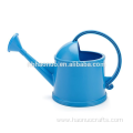 Custom Mini Metal Painting Watering Kettle For Garden